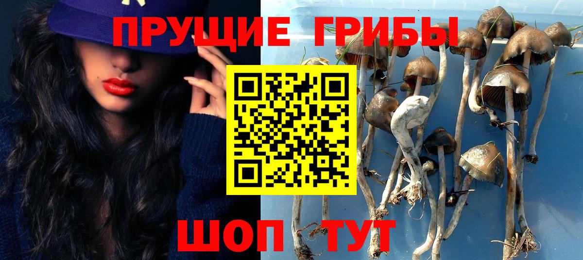 Подольск  Галлюциногенные грибы Psilocybine cubensis  купить закладку  Вход с VPN 